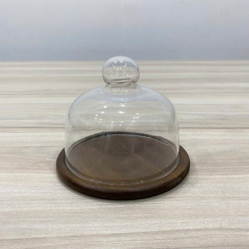 Khay trưng bày đế gỗ LFY-KT356